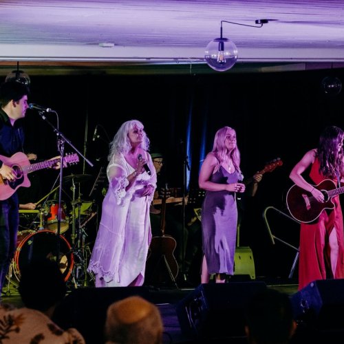 Diversity (Ben Telfer-Hynes, Bridget Telfer-Milne, Emma Anderton, Lana Stevens)